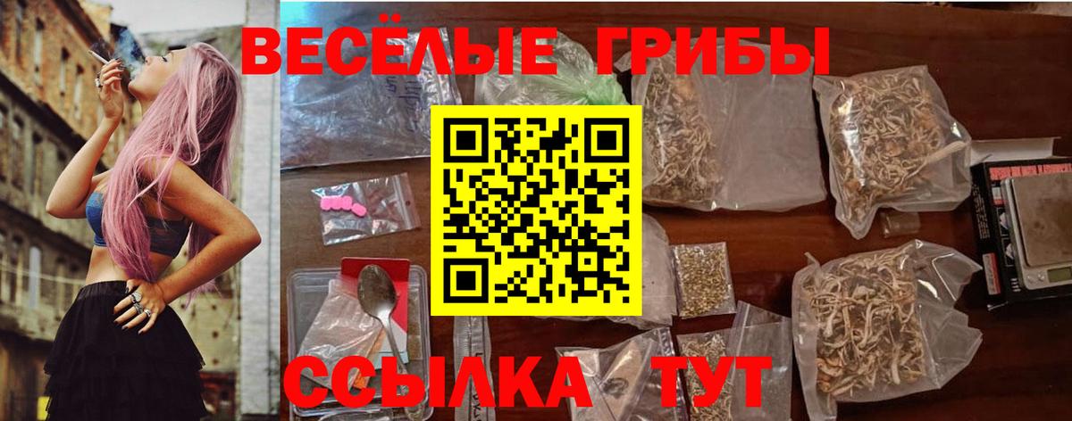 Псилоцибиновые грибы MAGIC MUSHROOMS Вятские Поляны