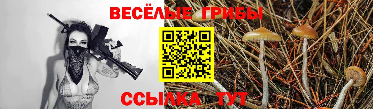 Псилоцибиновые грибы GOLDEN TEACHER  Вход с VPN  Вятские Поляны 