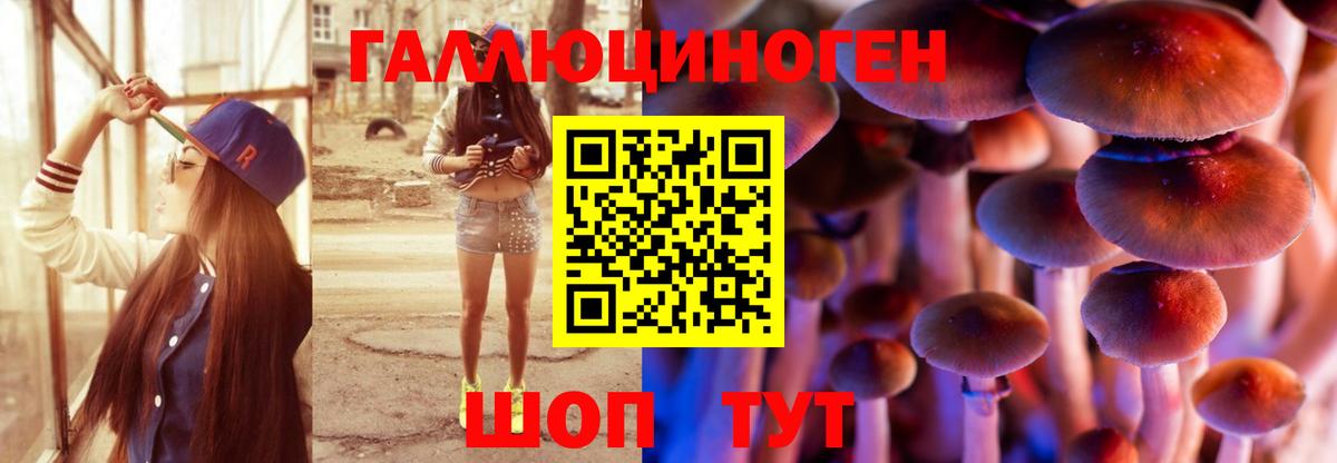 Где продают наркотики?  Меф   ГАШ  Кокаин  Вход с VPN  Вятские Поляны  Каннабис  Альфа ПВП СК кристаллы 